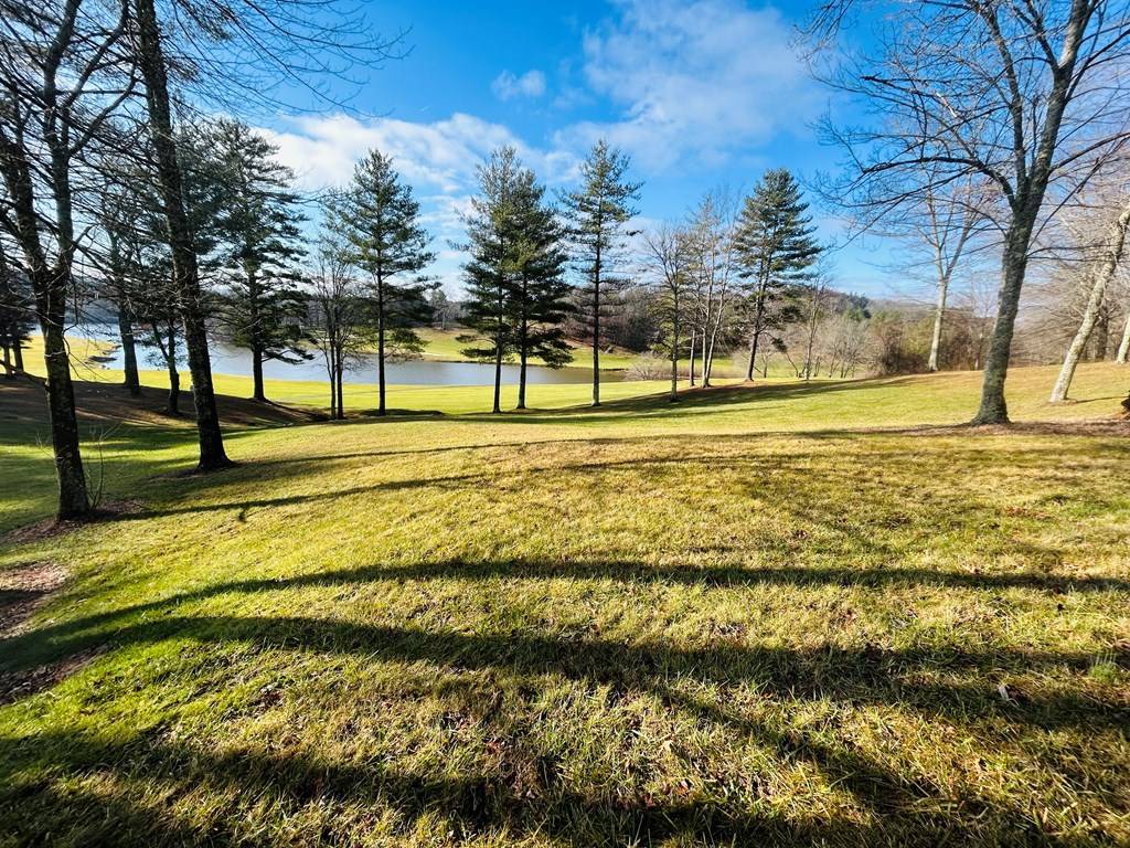 Laurel Fork, VA 24352,TBD Manor House Dr
