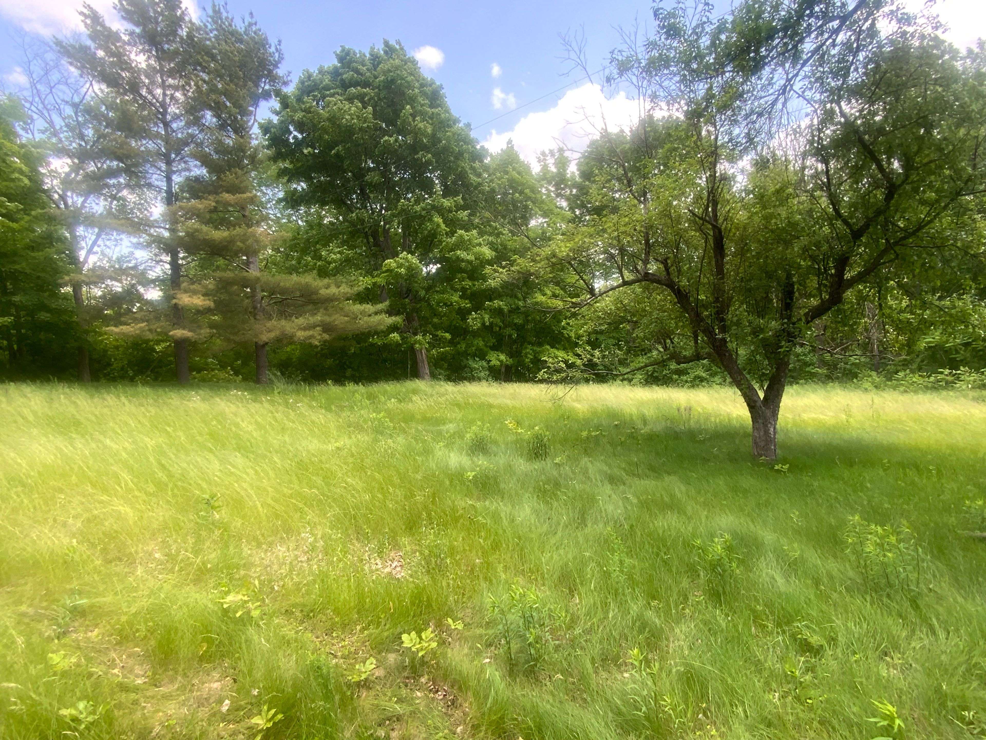 Tay Valley, ON K0H 2P0,22819 7 HWY