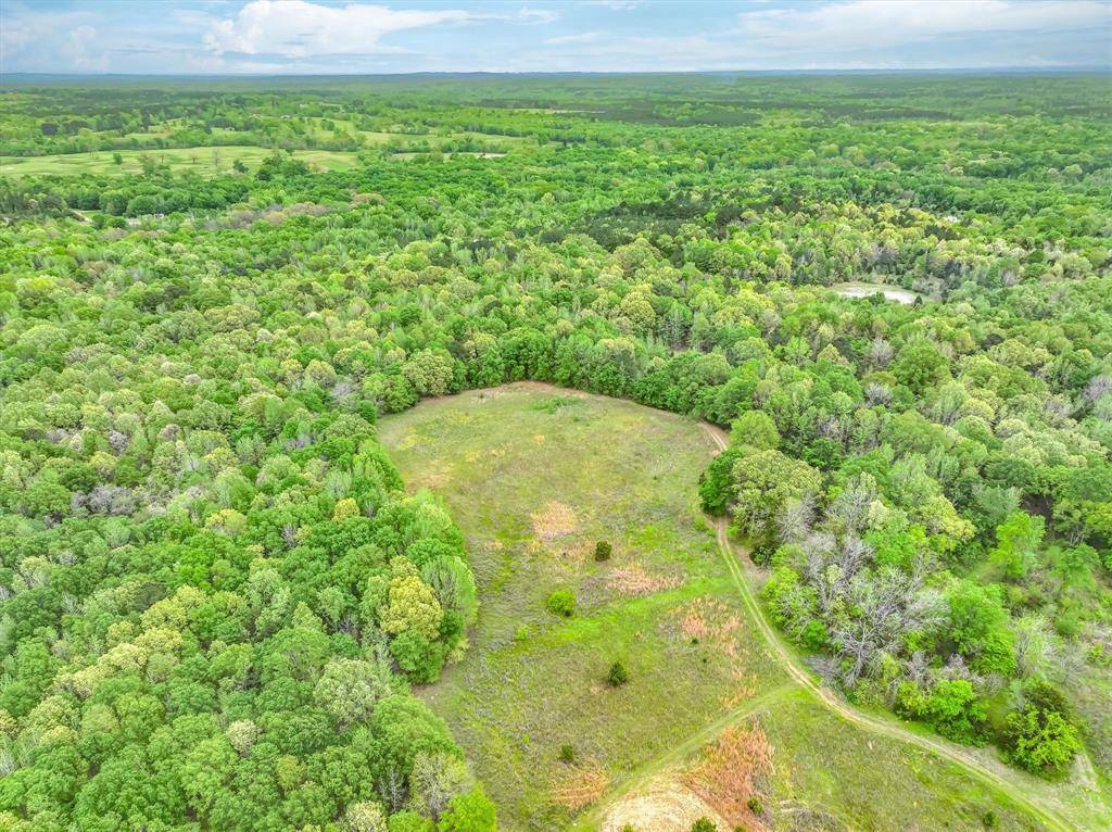 Troup, TX 75789,Parcel B TBD CR 2140