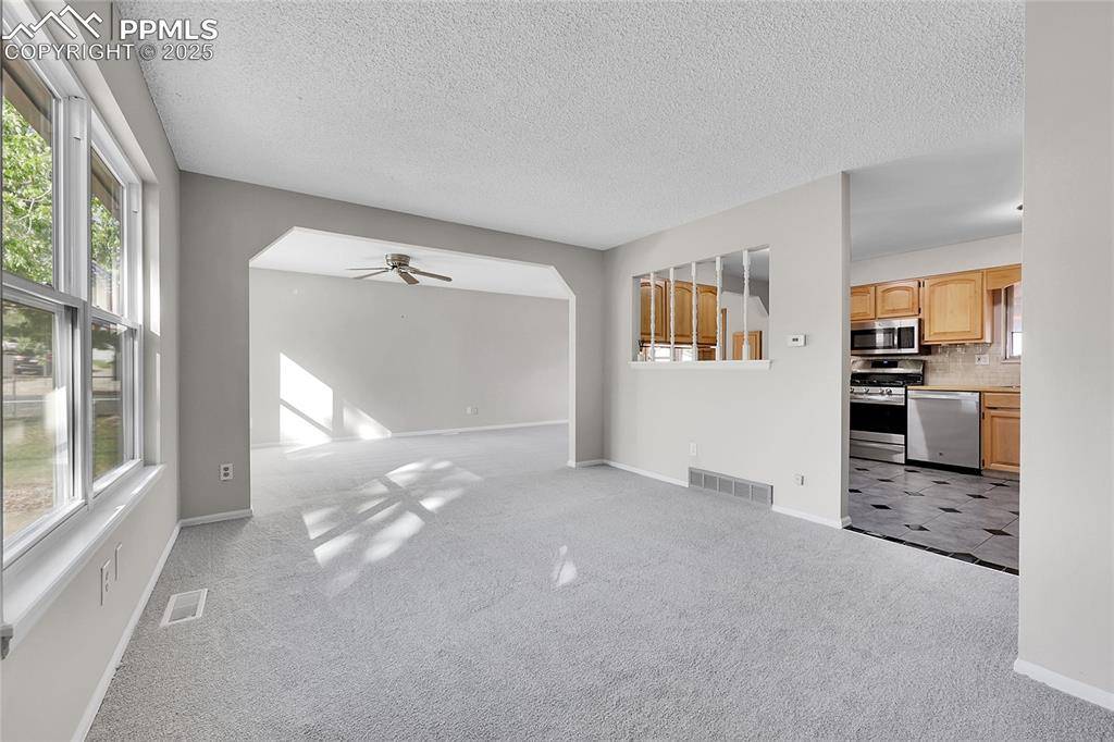 Colorado Springs, CO 80916,113 Homer DR