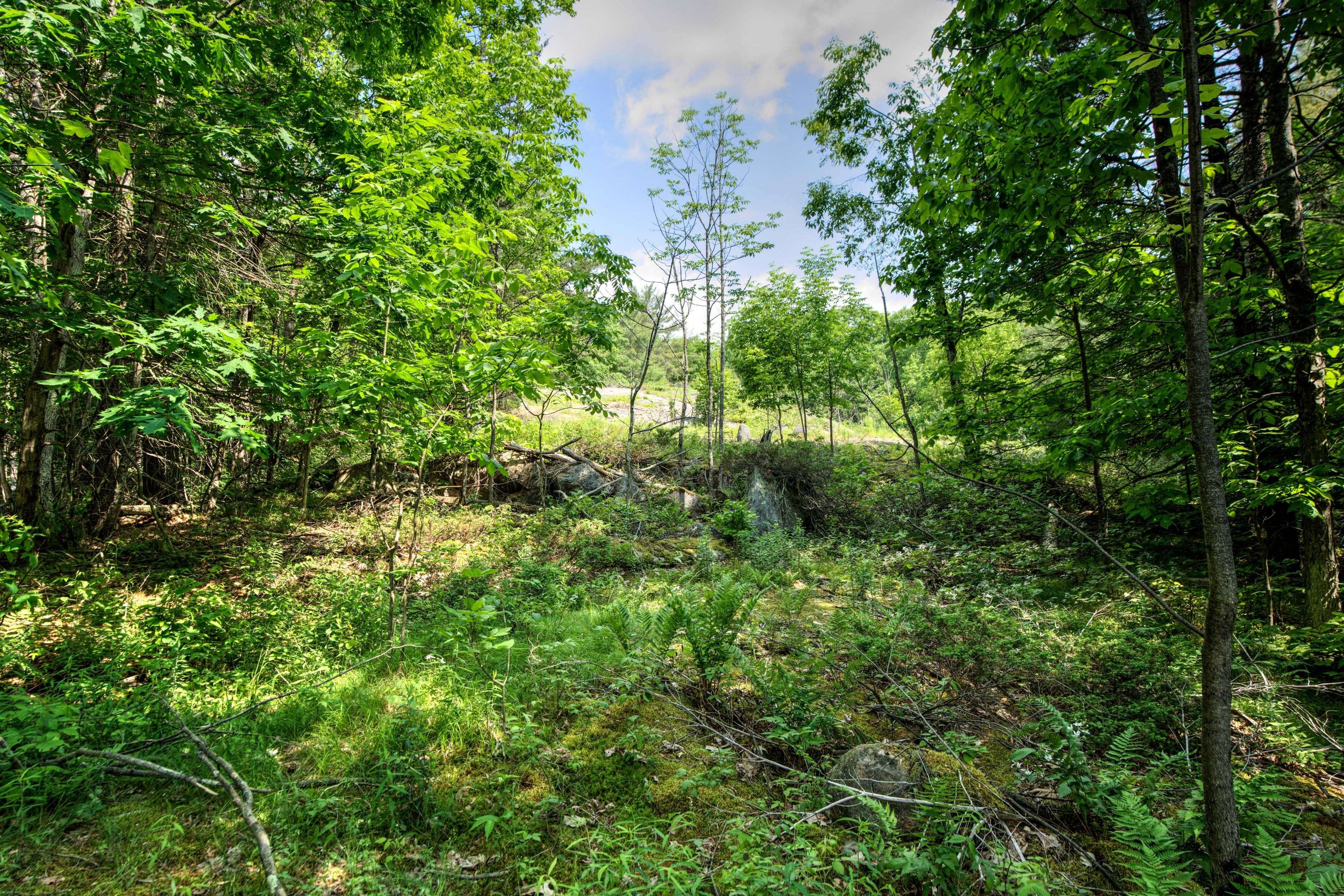 Frontenac, ON K0H 1H0,0 Burnt Hills RD