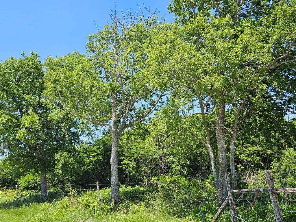 Hubbard, TX 76648,TBD HCR 3242
