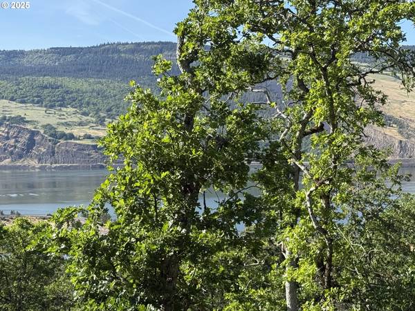 Mosier, OR 97040,Coyote CT #Lot #49