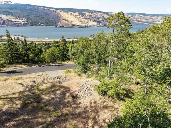 Mosier, OR 97040,Coyote CT #Lot #49