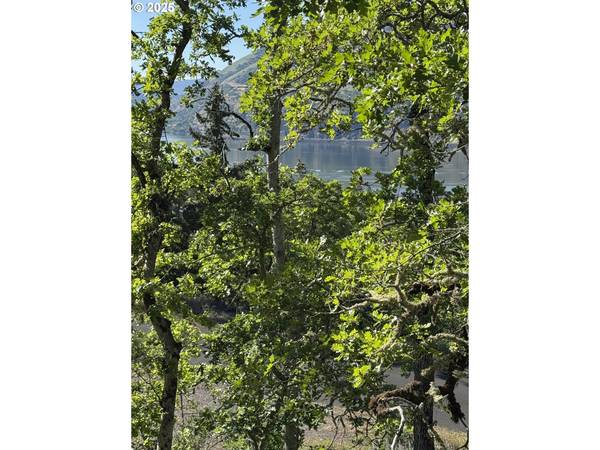 Mosier, OR 97040,Coyote CT #Lot #49