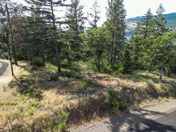 Mosier, OR 97040,Coyote CT #Lot #42