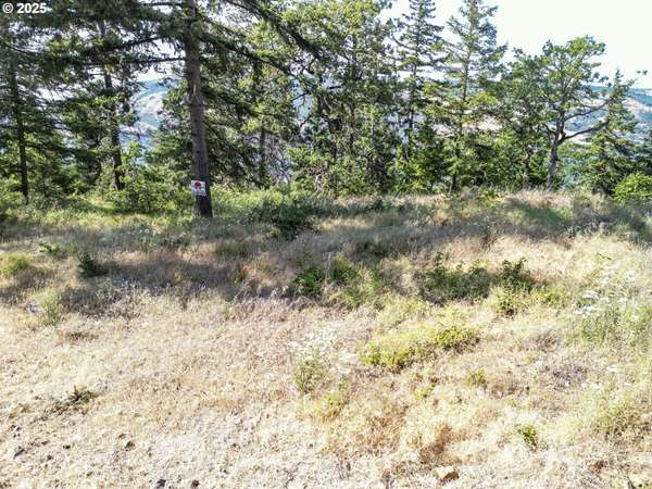 Mosier, OR 97040,Coyote CT #Lot #42