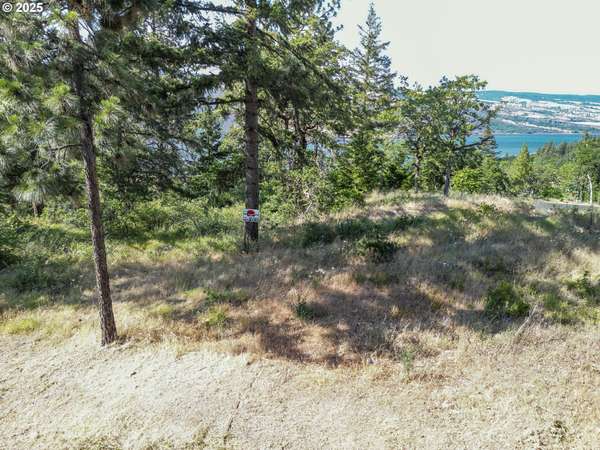 Mosier, OR 97040,Coyote CT #Lot #42