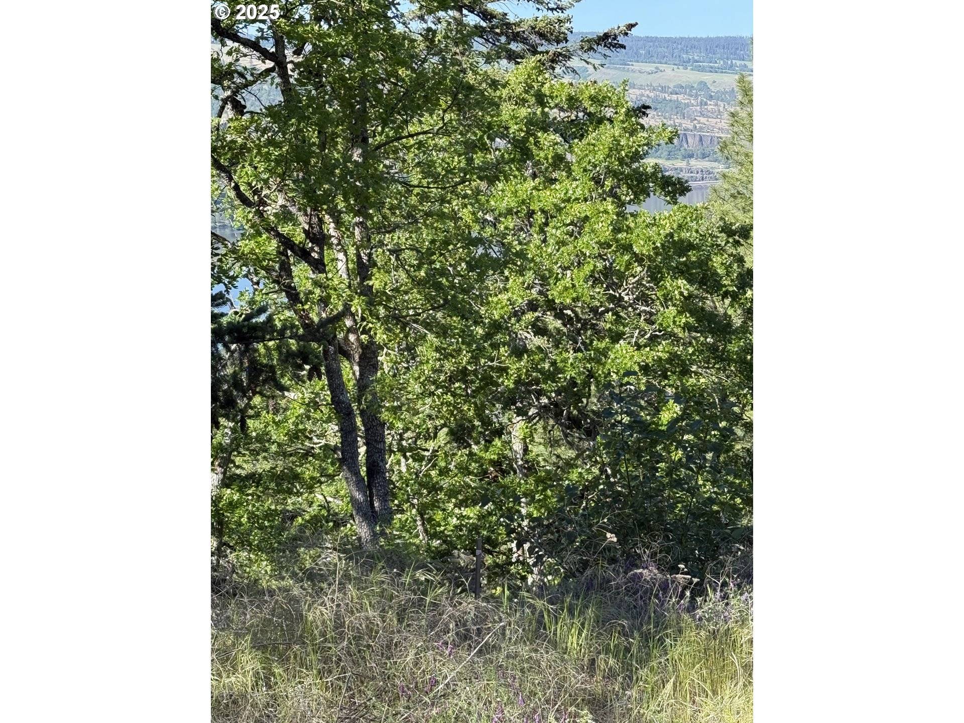 Coyote CT #Lot#43, Mosier, OR 97040