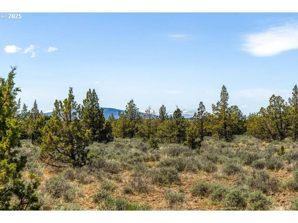 Prineville, OR 97754,SE Bluebird DR #TL700