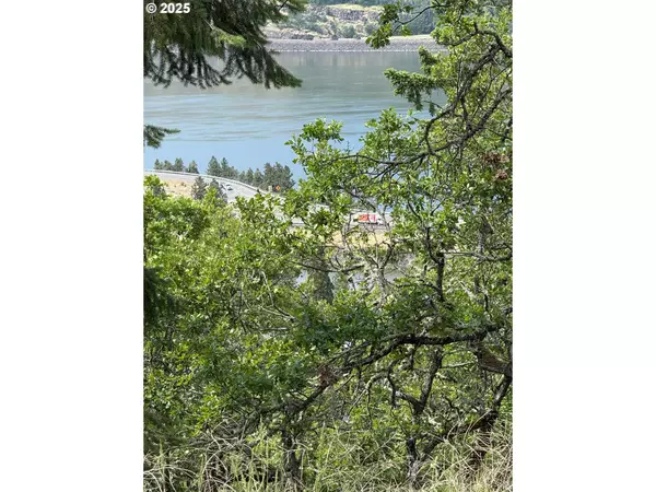Mosier, OR 97040,Coyote CT #Lot #44