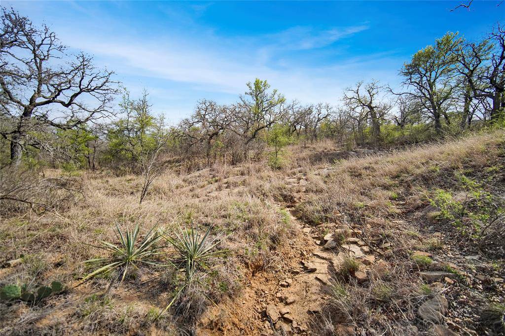 Jacksboro, TX 76458,44 Acres Slusher Road