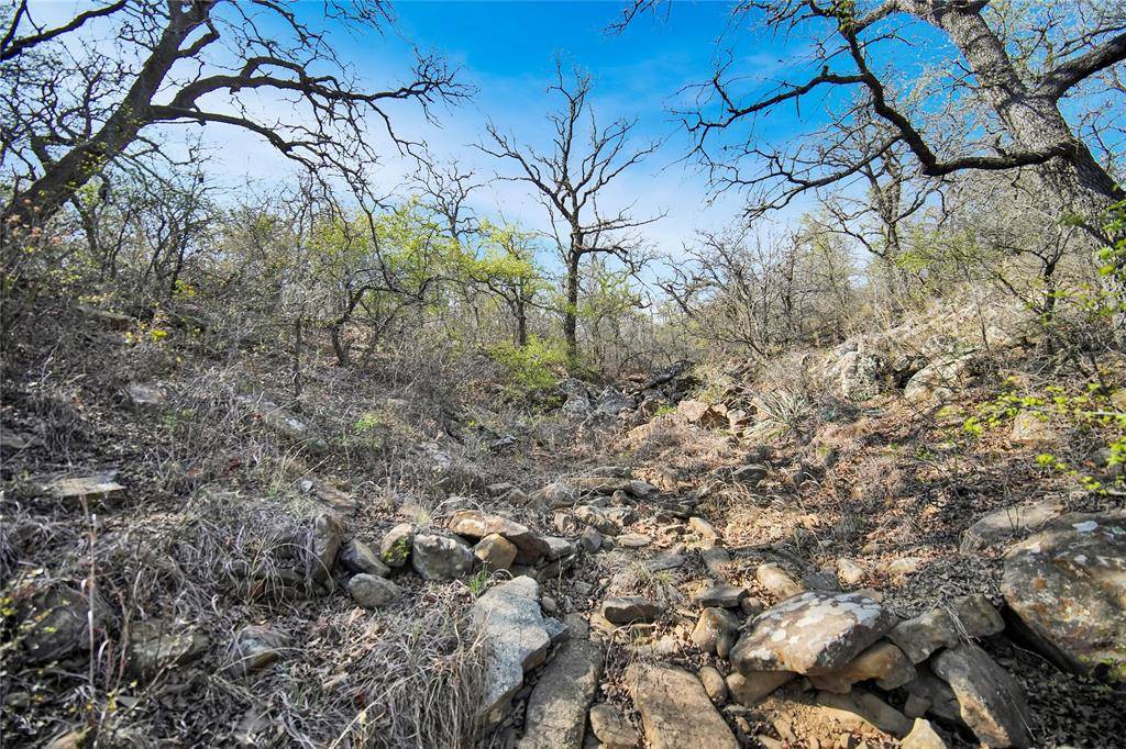 Jacksboro, TX 76458,44 Acres Slusher Road