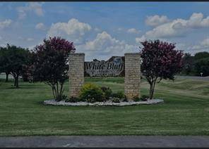 Whitney, TX 76692,38057 Brookside Drive