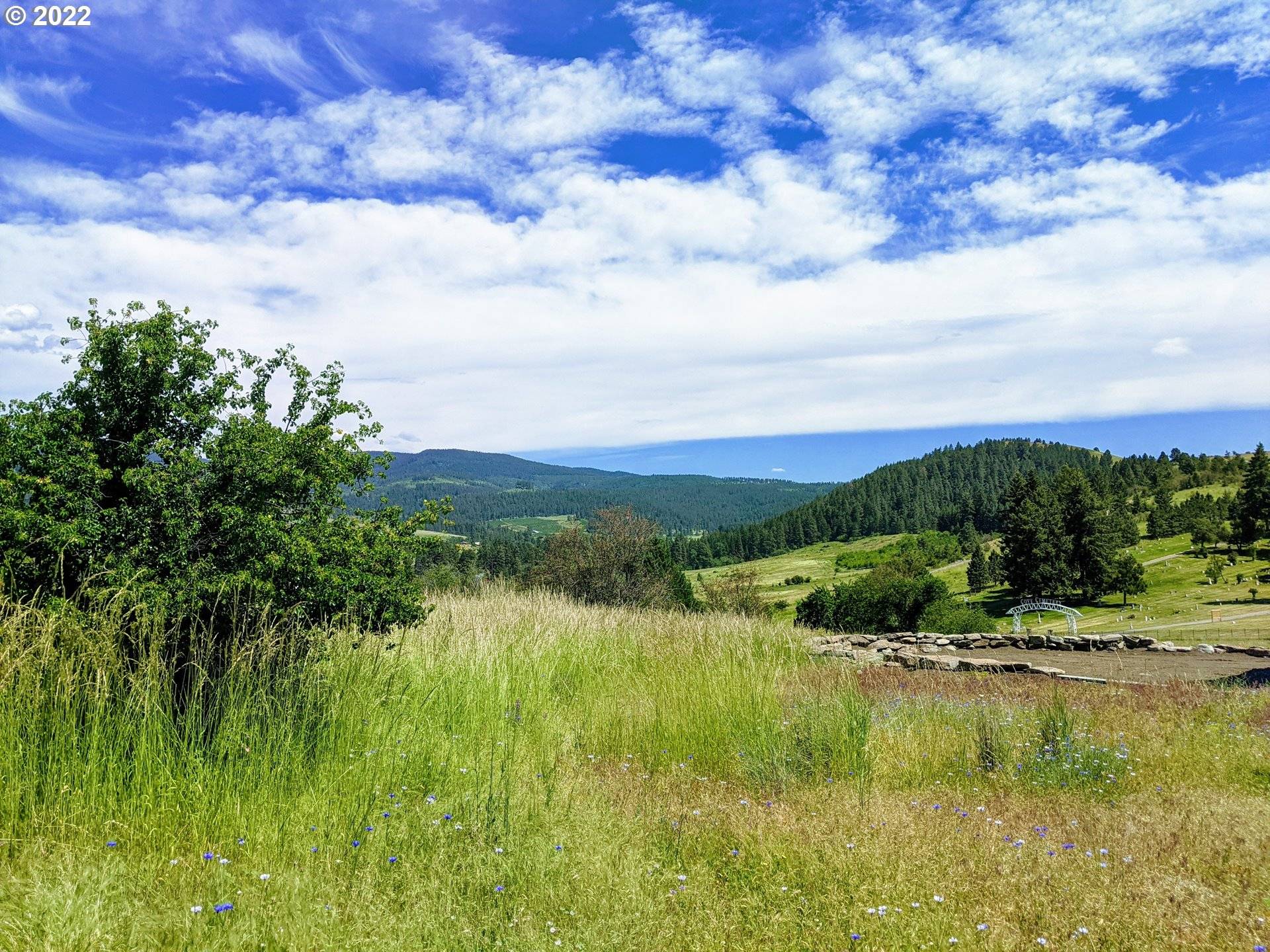 Cove, OR 97824,0 Rose Ridge RD