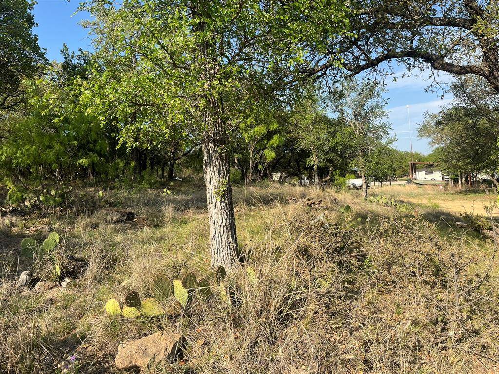 May, TX 76857,TBD Oak Point Drive