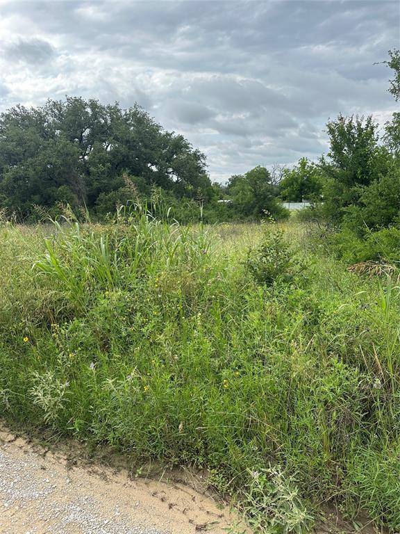 Brownwood, TX 76801,TBD Verde DR
