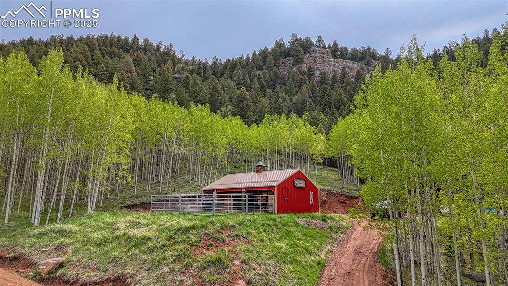 Divide, CO 80814,18766 Highway 67