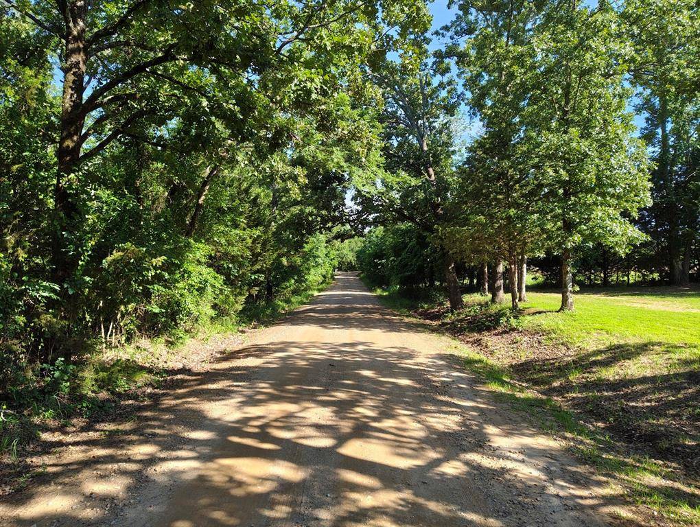 Yantis, TX 75497,TBD CR 1195