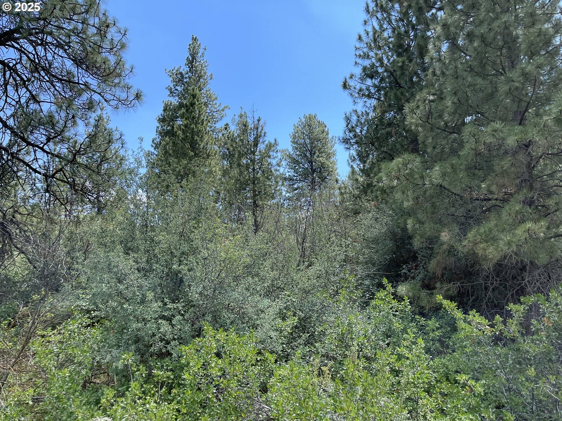 Chiloquin, OR 97624,Margi Way #8