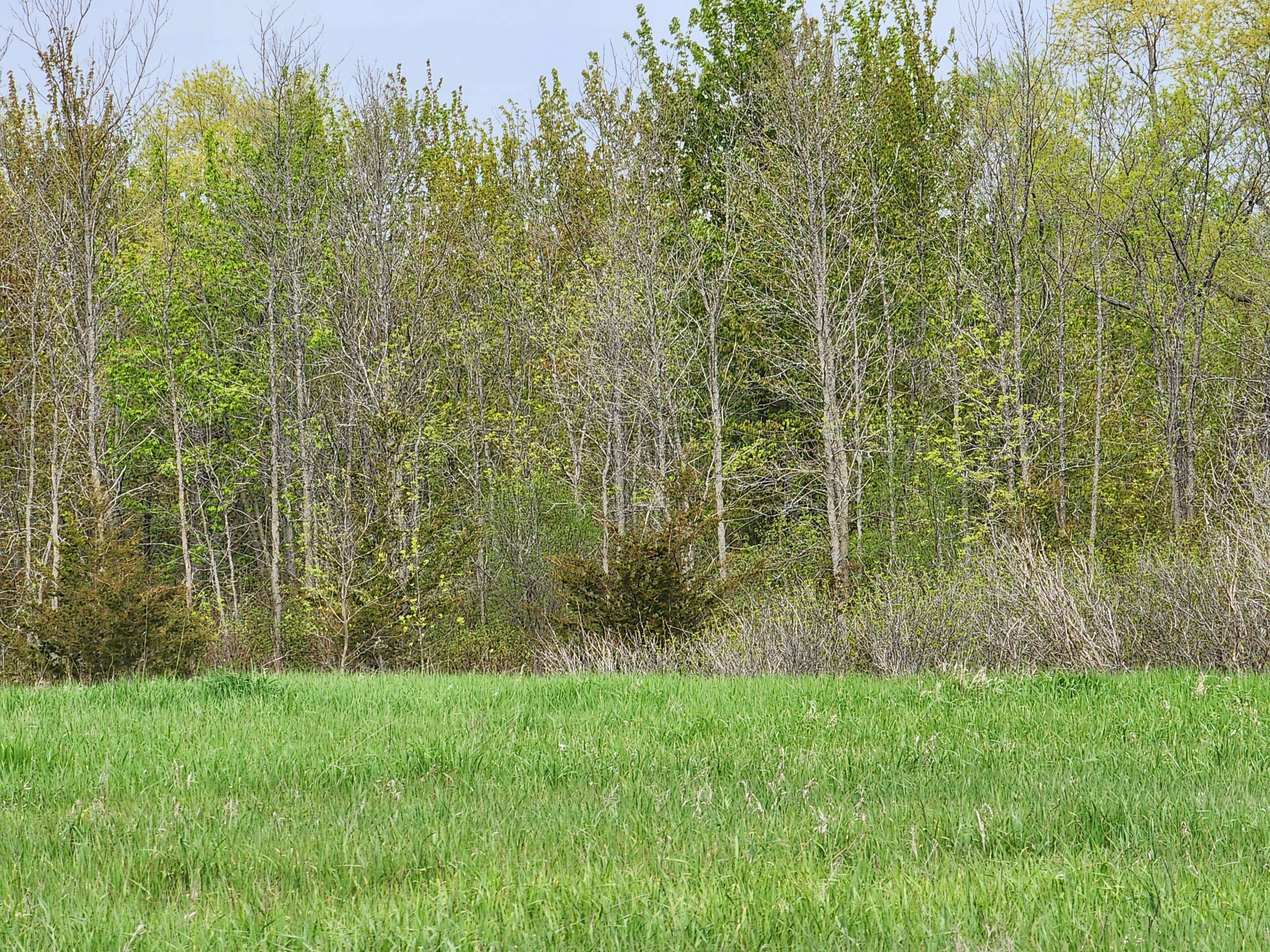 Prince Edward County, ON K0K 2T0,PT LT 4 Mitchells Crossroad RD