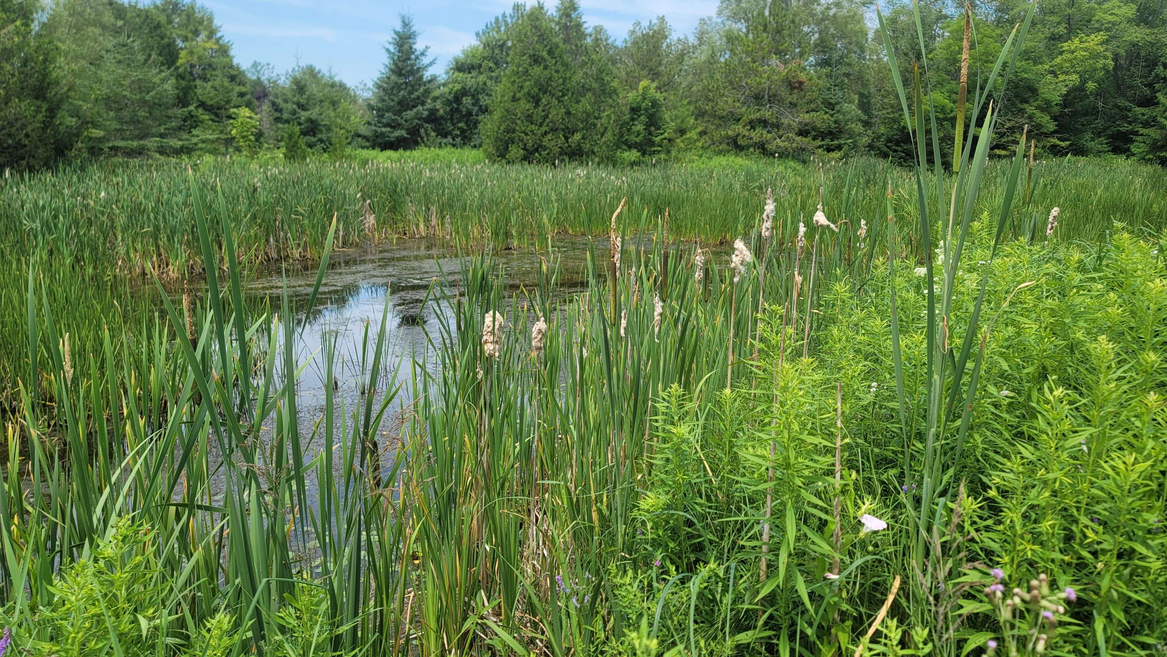 Alnwick/haldimand, ON K0K 2G0,Block73 Shawano DR