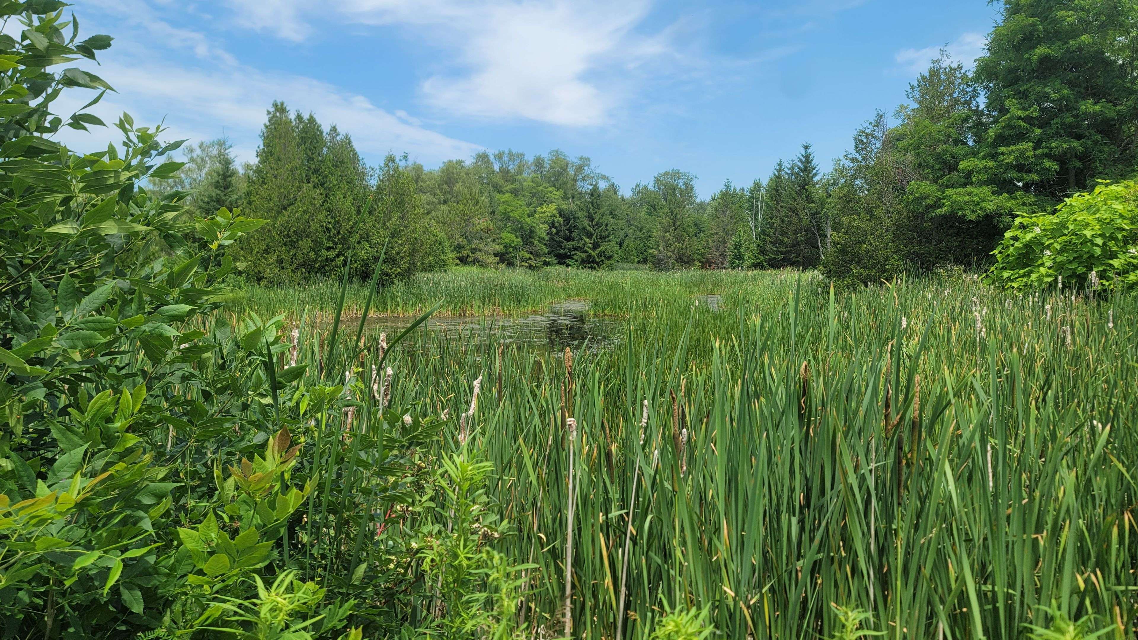 Alnwick/haldimand, ON K0K 2G0,Block73 Shawano DR