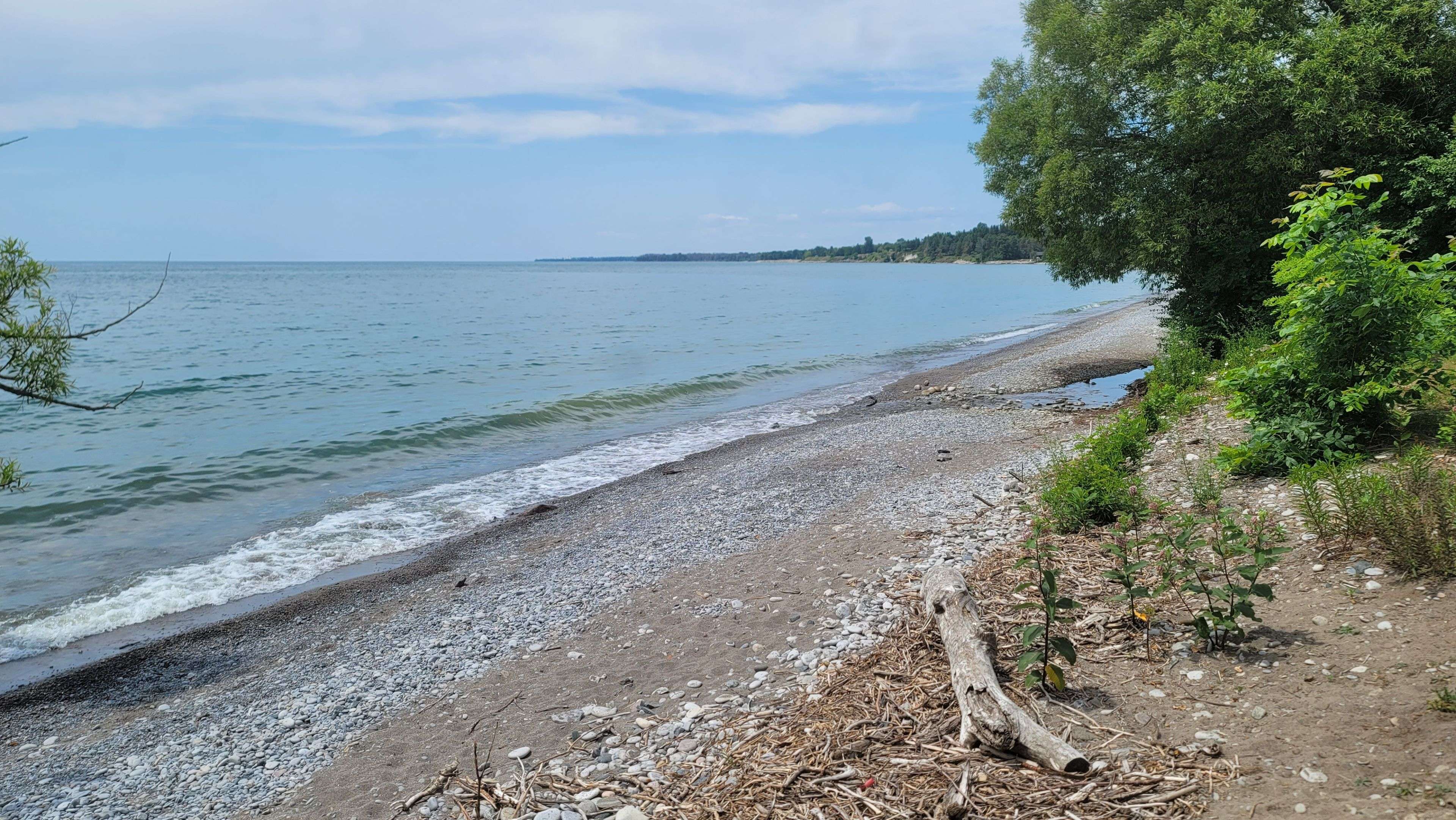 Alnwick/haldimand, ON K0K 2G0,Block73 Shawano DR