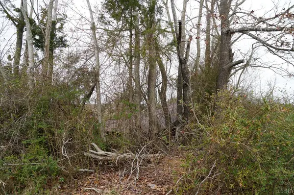 1225 Tobacco RD, Nathalie, VA 24577