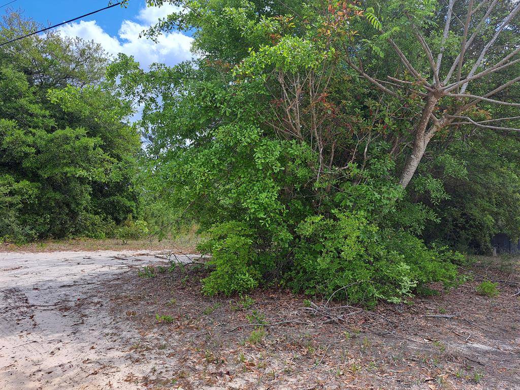 Elloree, SC 29047,01 Santee Lane