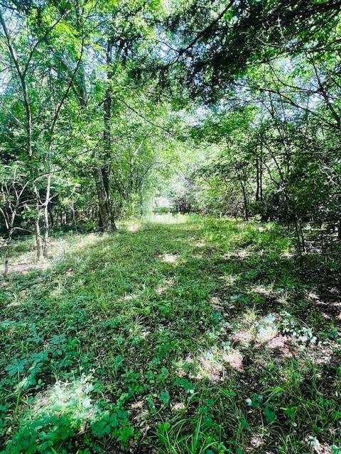 Sulphur Springs, TX 75482,0 Fm-2297