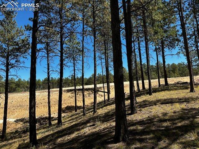 Colorado Springs, CO 80908,14864 Bourbon CT