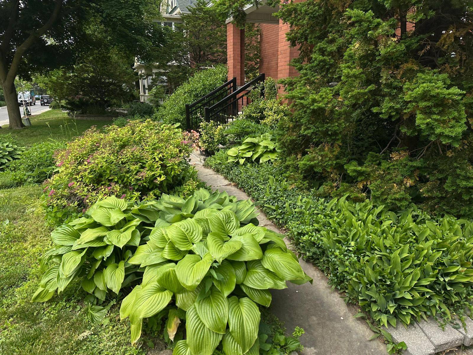 Brampton, ON L6W 1Y4,32 Wellington ST E