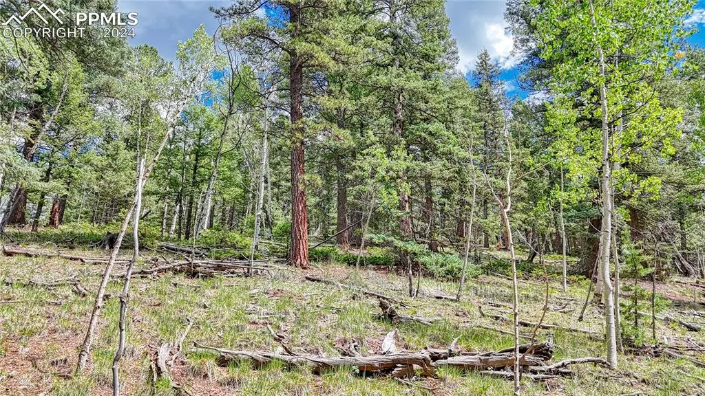 94 E Mariposa CIR, Cripple Creek, CO 80813