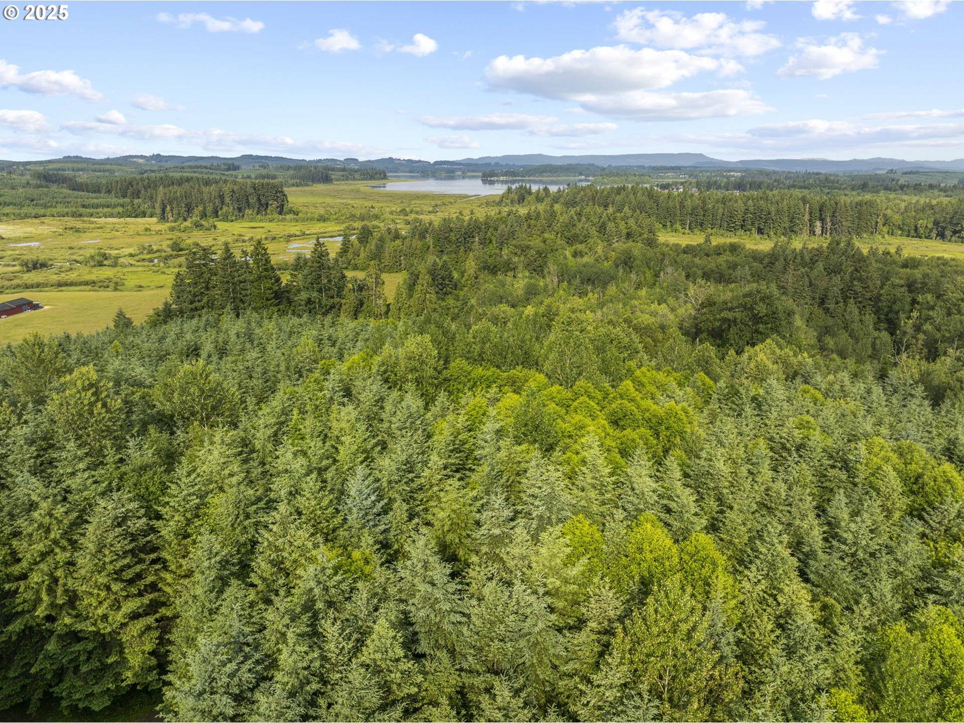 Toutle, WA 98649,Grand Ridge RD #Lot 17