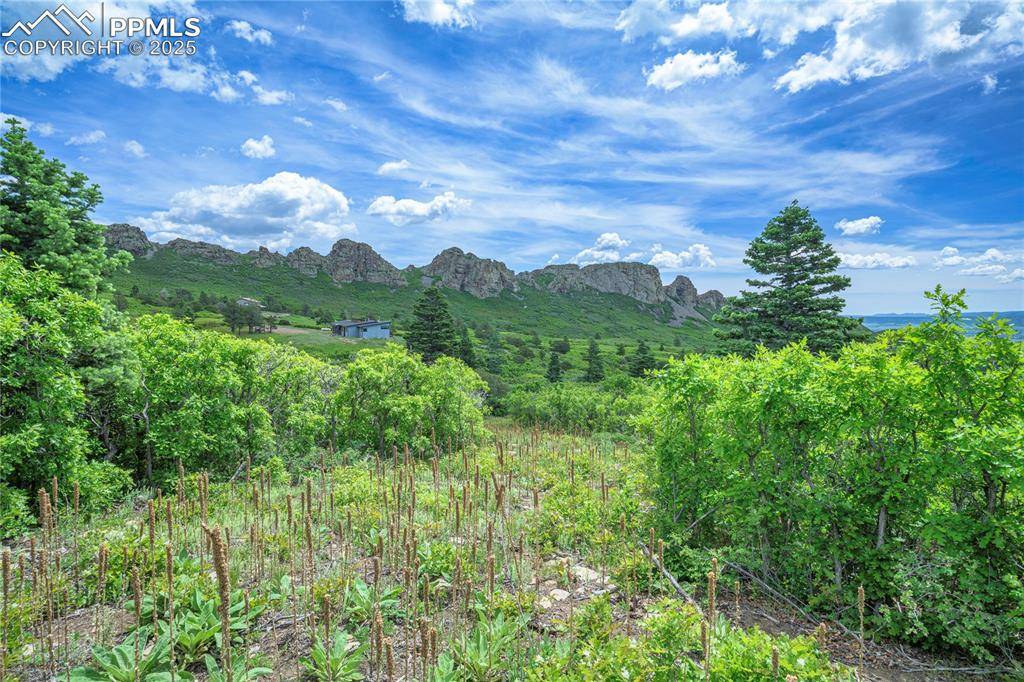 La Veta, CO 81055,Lot 66 Highway 160