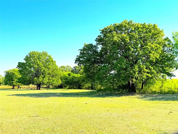 Mineral Wells, TX 76067,TBD Mcmillan Road