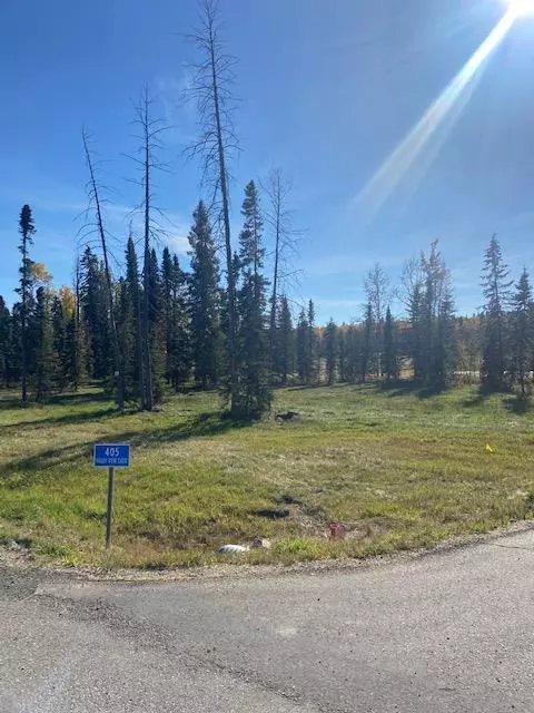 Rural Clearwater County, AB T4T 1A7,405 Valley View Close