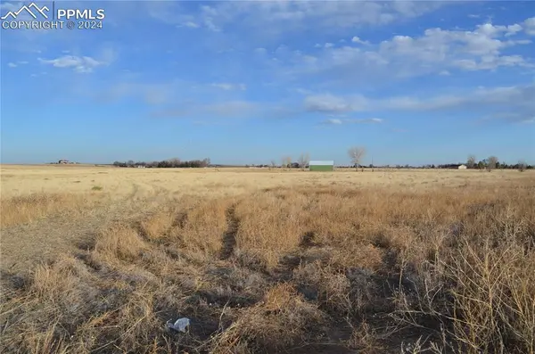 Peyton, CO 80831,LOT 1 J D Johnson RD