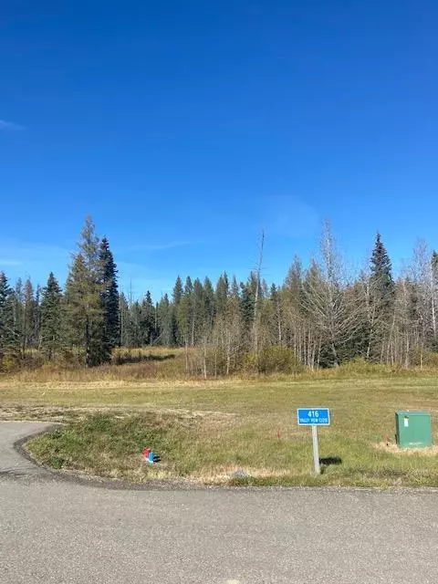 416 Valley View Close, Rural Clearwater County, AB T4T 1A7