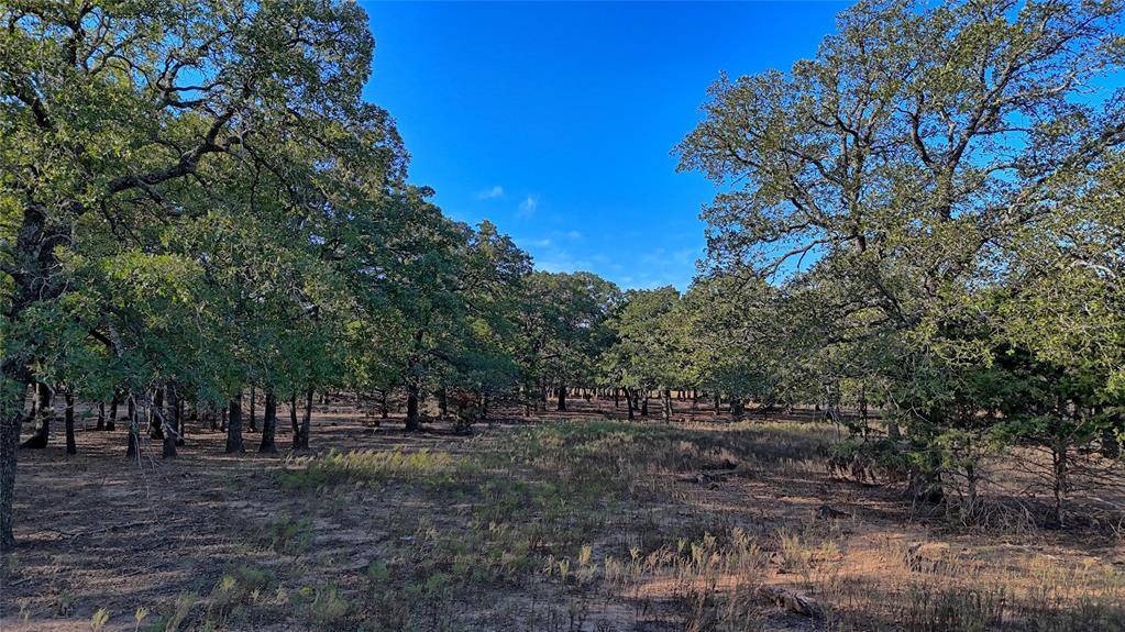 TBD Thompson Road, Saint Jo, TX 76265