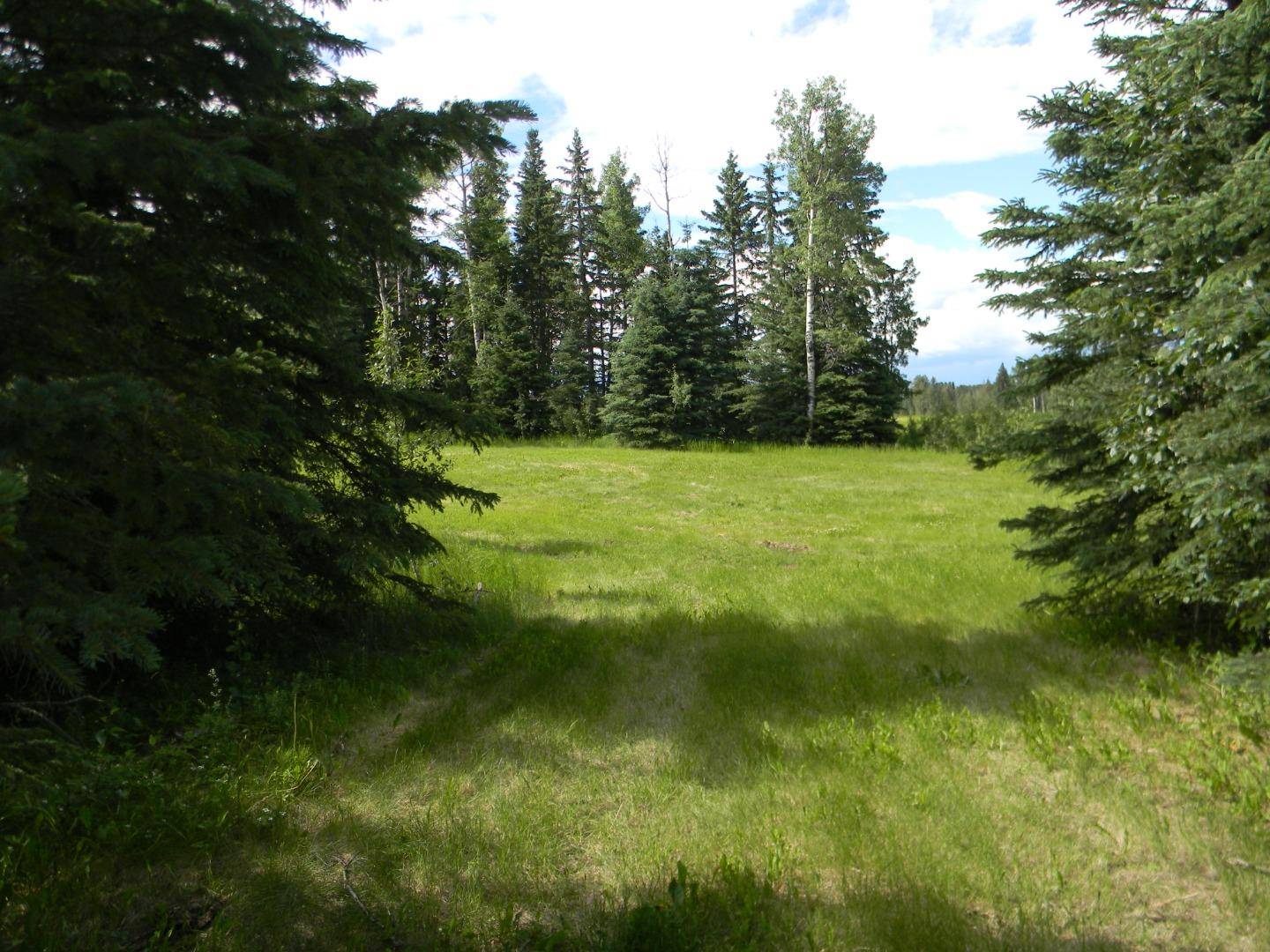 Rural Clearwater County, AB T4T 1A7,120 Meadow Ponds DR