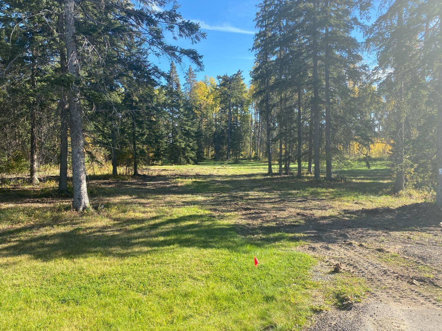 202 High Timber PL, Rural Clearwater County, AB T4T 1A7