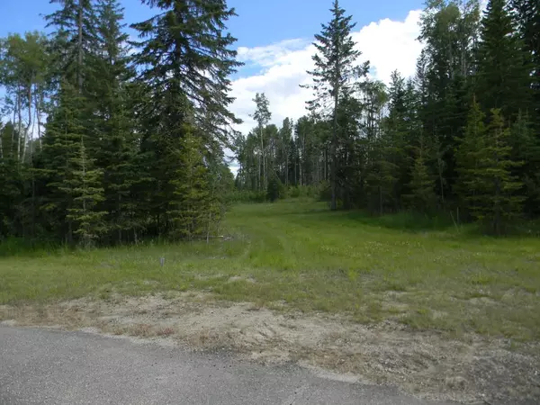 Rural Clearwater County, AB T4T 1A7,119 Meadow Ponds DR