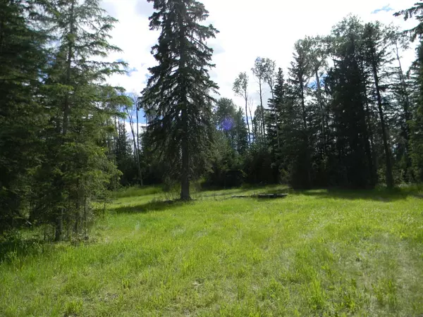 Rural Clearwater County, AB T4T 1A7,123 Meadow Ponds DR