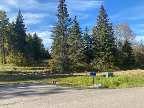 Rural Clearwater County, AB T4T 1A7,169 Meadow Ponds DR