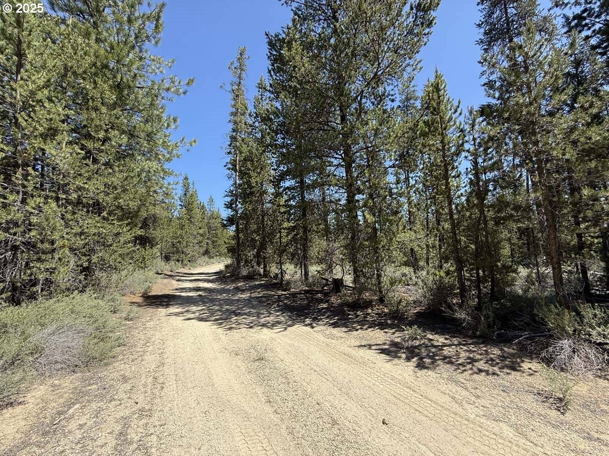 Crescent, OR 97733,Off NF 9768 #TL 300