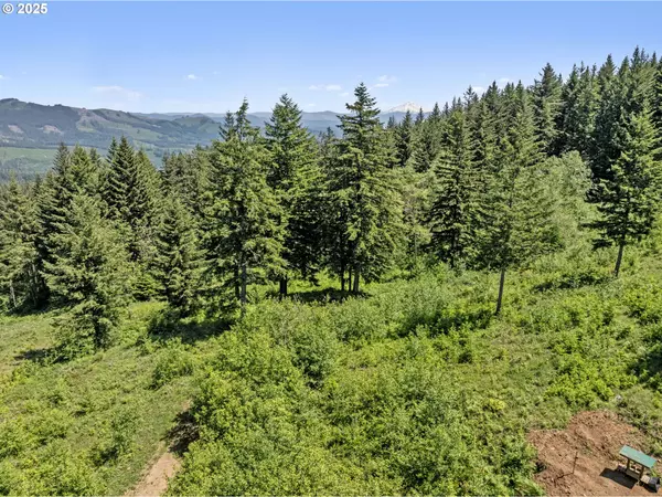 Camas, WA 98607,NE 298th CT