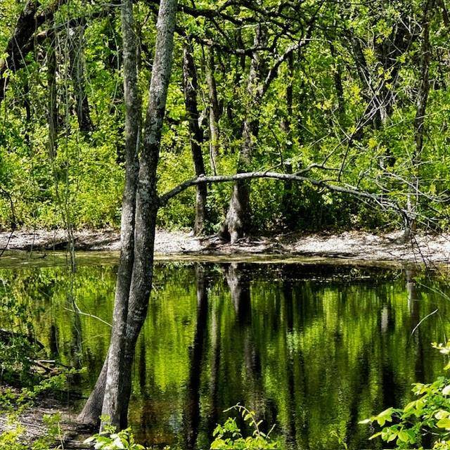 000 Cr-1204, Blue Ridge, TX 75424