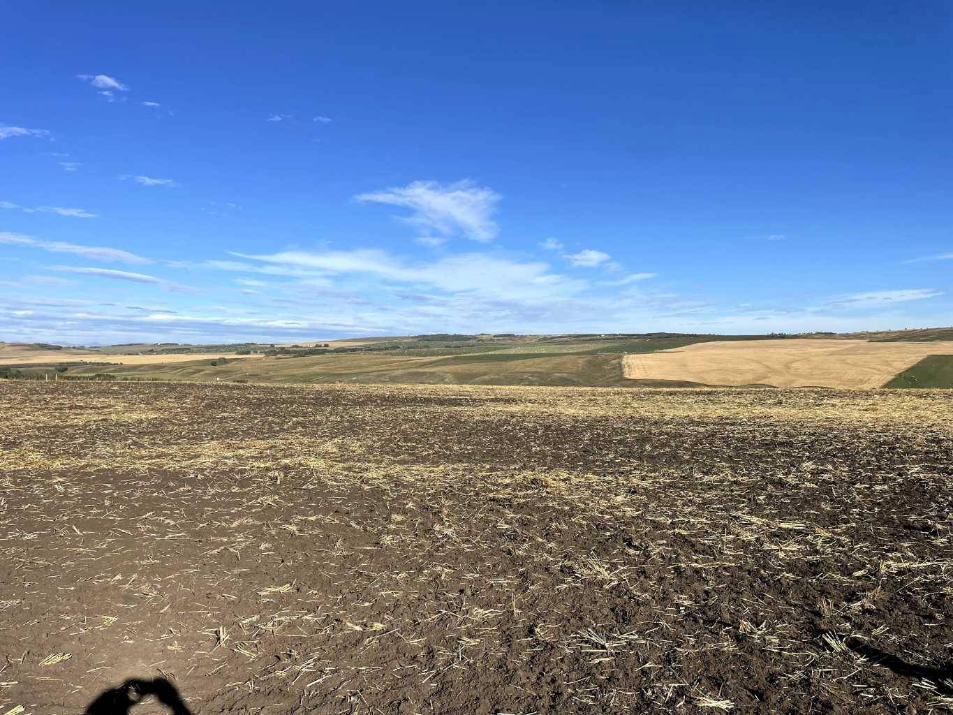 Rural Foothills County, AB T0L 0H0,Hwy 543 W  5 Acres